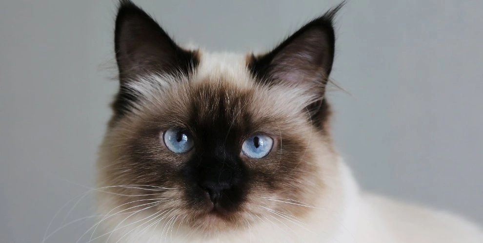 5e8a6975-1c8b-4d3c-a473-8325d9dd1c07